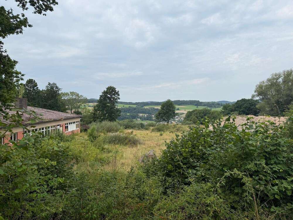 Thumbnail-Haus zum Kaufen in Hilders 350.000,00 € 0.01 m²