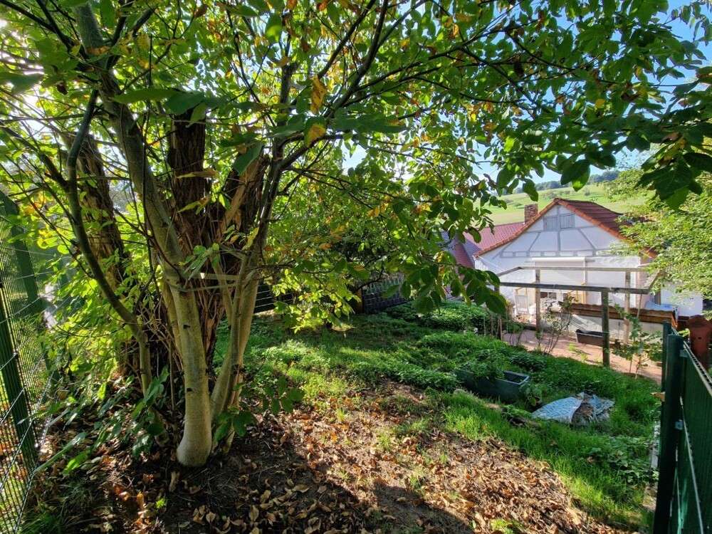 Thumbnail-Haus zum Kaufen in Lützelbach Breitenbrunn 210.000,00 € 75 m²