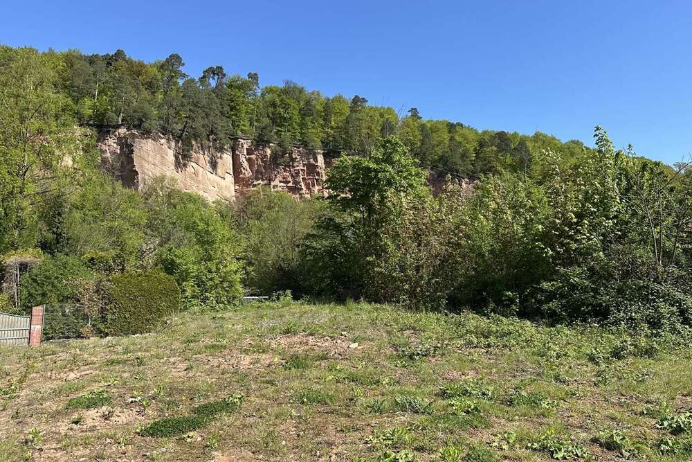 Thumbnail-Grundstück zu verkaufen in Büdingen 395.000,00 € 1376 m²
