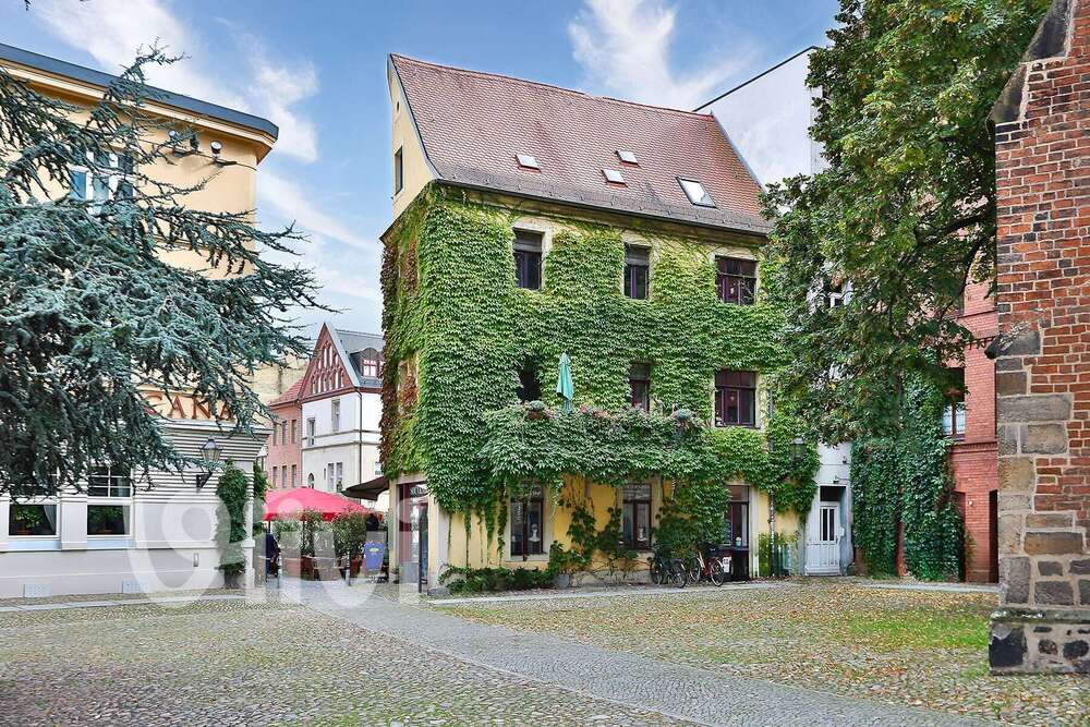 Thumbnail-Haus zum Kaufen in Lutherstadt Wittenberg 480.000,00 € 256 m²