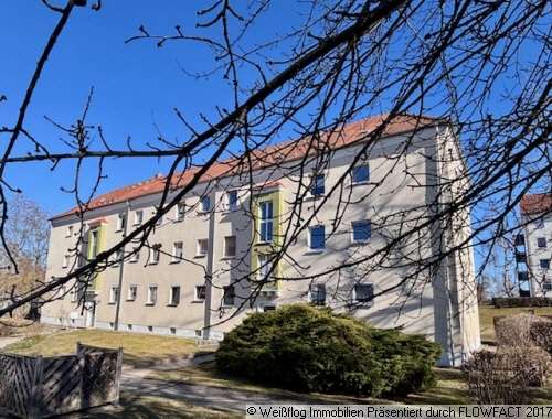 Thumbnail-Wohnung zum Mieten in Riesa 520,00 € 66.99 m²