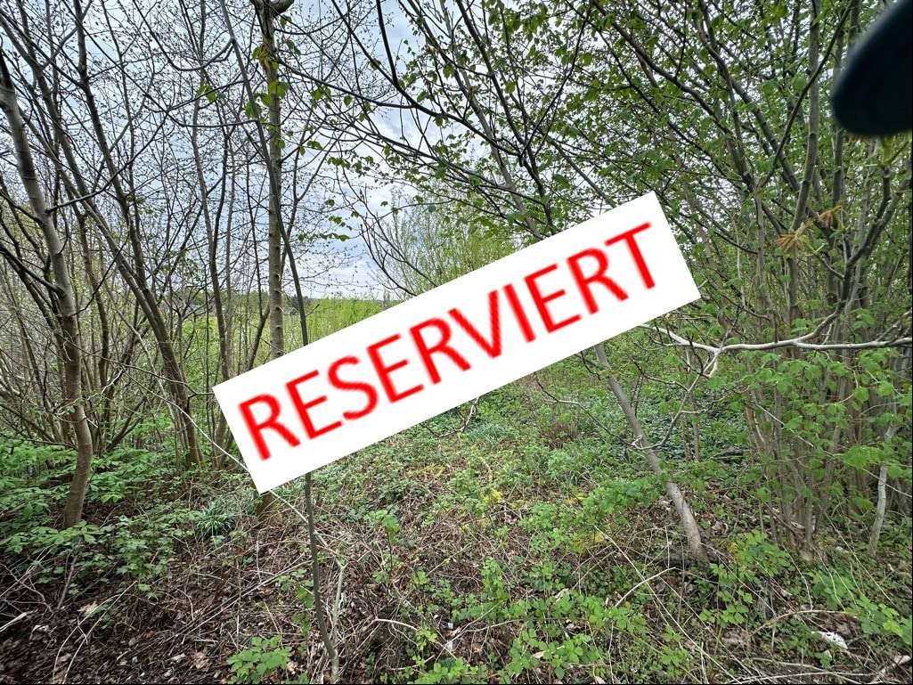 Thumbnail-Grundstück zu verkaufen in Menden 149.500,00 € 1995 m²