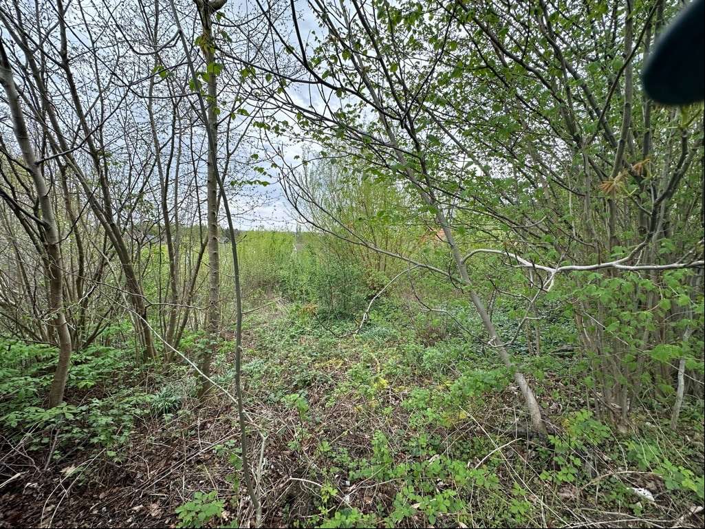 Thumbnail-Grundstück zu verkaufen in Menden 149.500,00 € 1995 m²