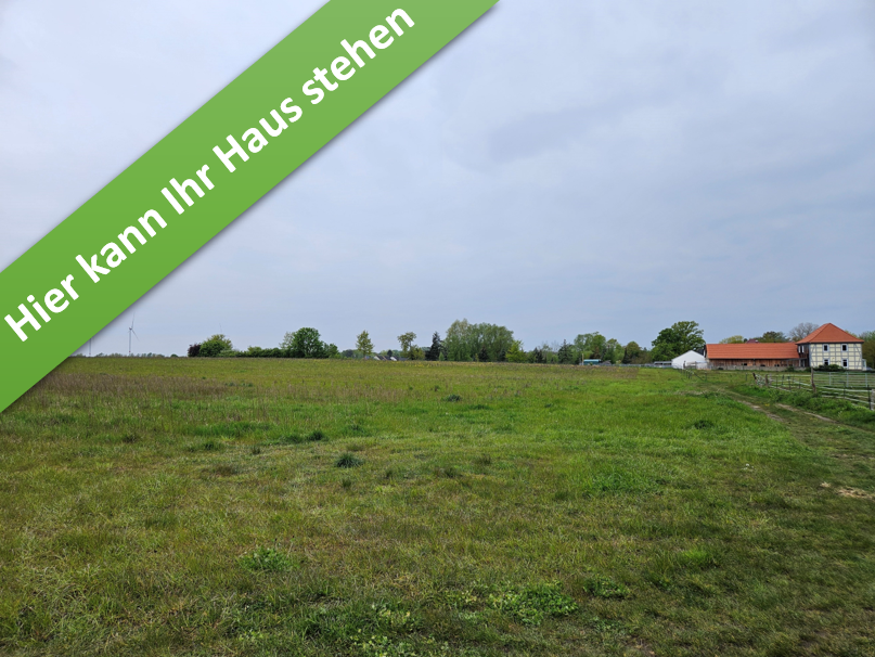 Thumbnail-Haus zum Kaufen in Uetze 369.050,00 € 136 m²
