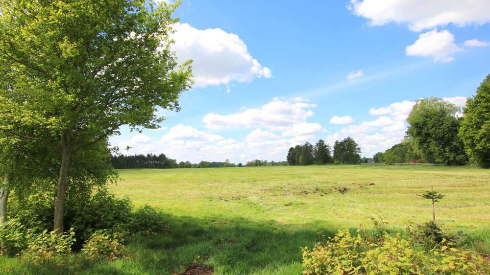 Thumbnail-Grundstück in Edewecht 110.000,00 € 49137 m²