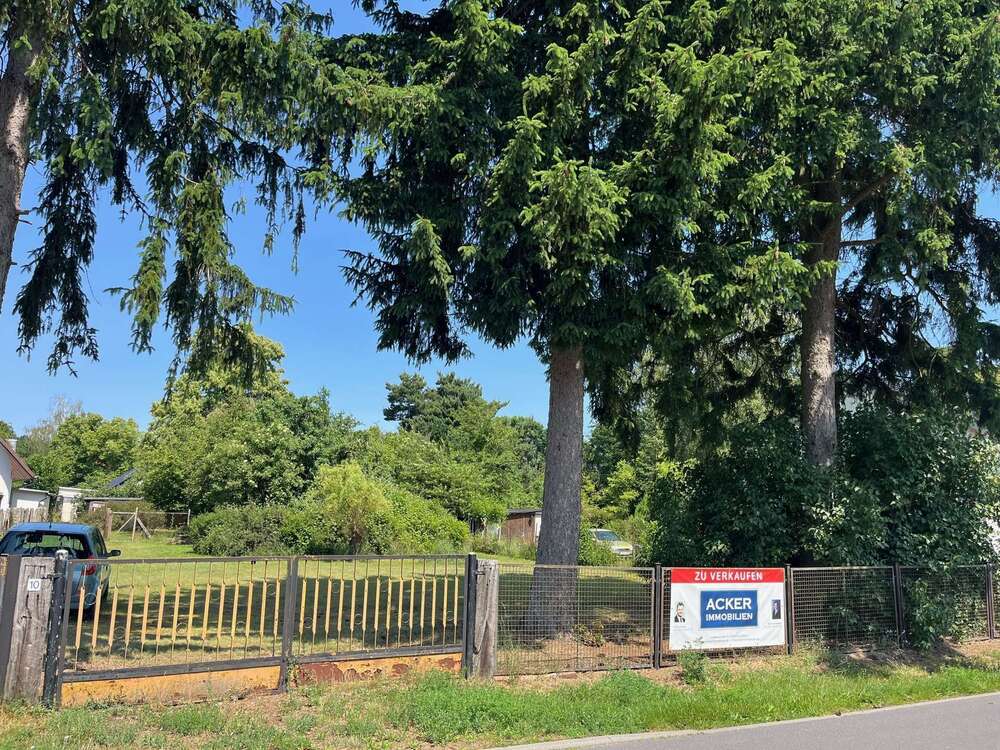 Thumbnail-Grundstück zu verkaufen in Zeesen 325.000,00 € 1240 m²