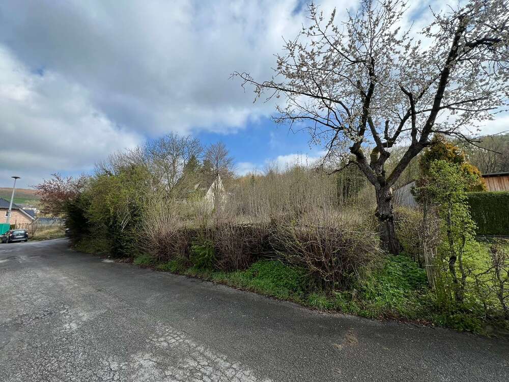 Thumbnail-Grundstück zu verkaufen in Balve 75.000,00 € 742 m²