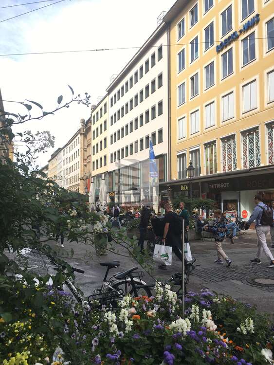 Thumbnail-Büro in München 4.625,40 € 118.6 m²