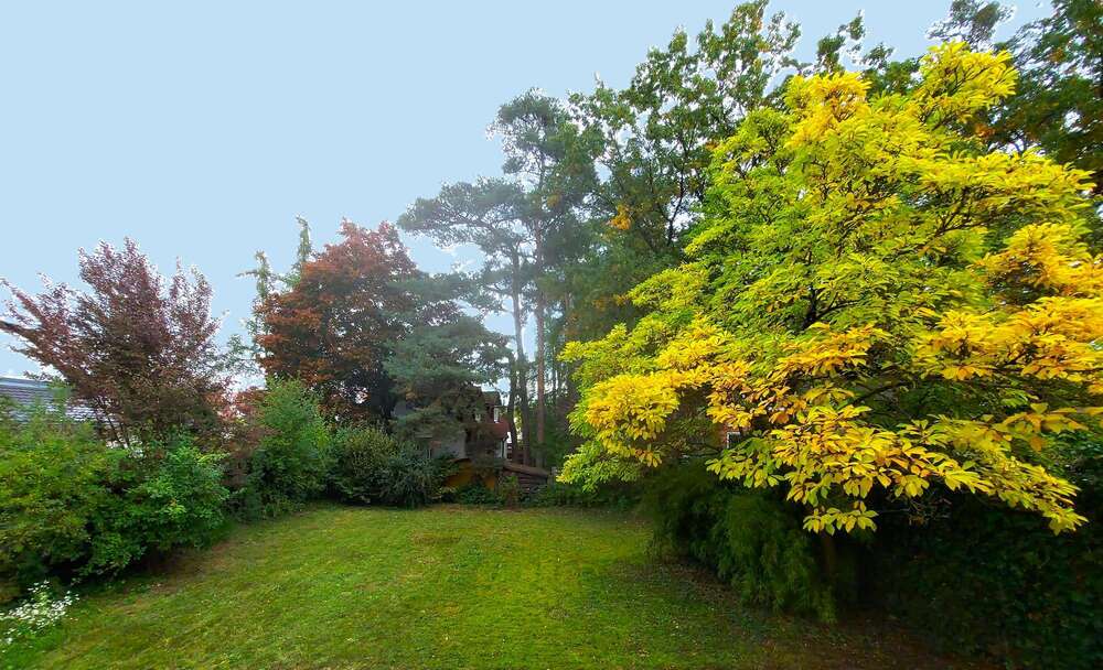 Thumbnail-Grundstück zu verkaufen in Zirndorf 339.500,00 € 440 m²