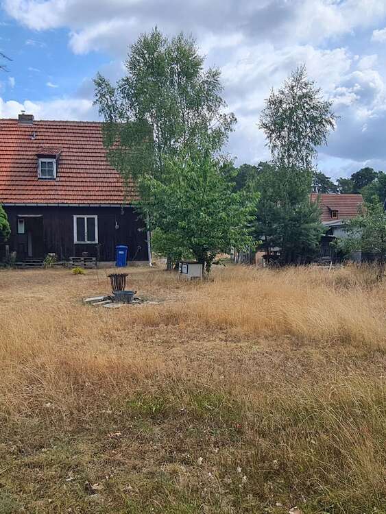 Thumbnail-Grundstück zu verkaufen in Beelitz Heilstätten 199.000,00 € 761 m²