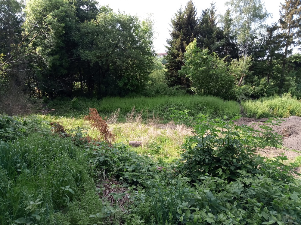 Thumbnail-Förderungsprojekt Grundstück für Einfamilienhaus für Familien mit Kindern (DHH) Essen-Werden