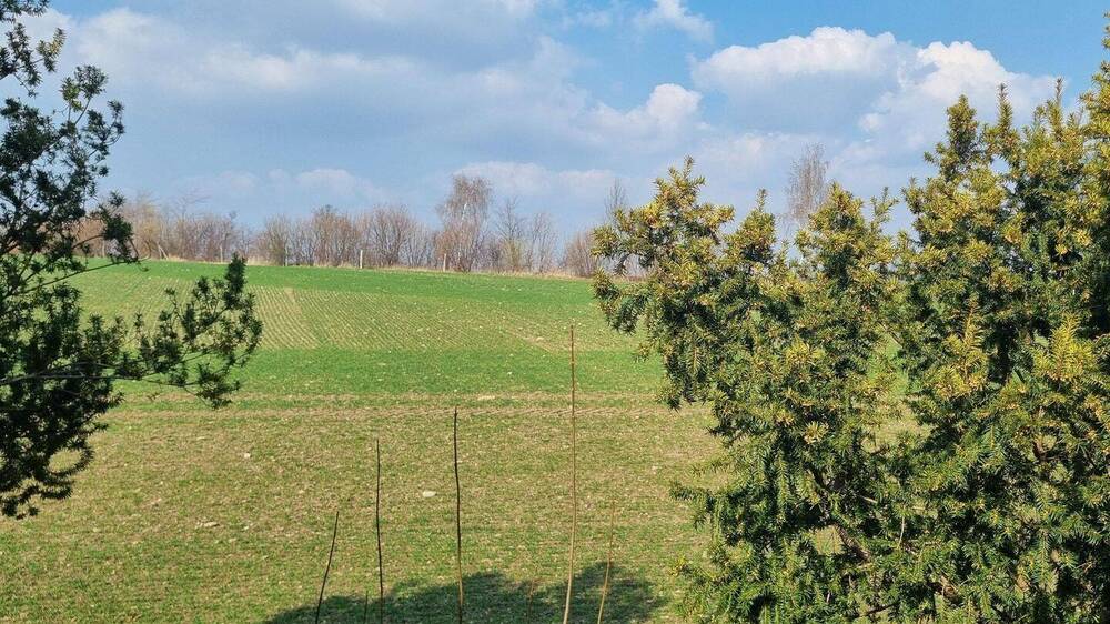 Thumbnail-Viel Arbeit - aber es lohnt sich!