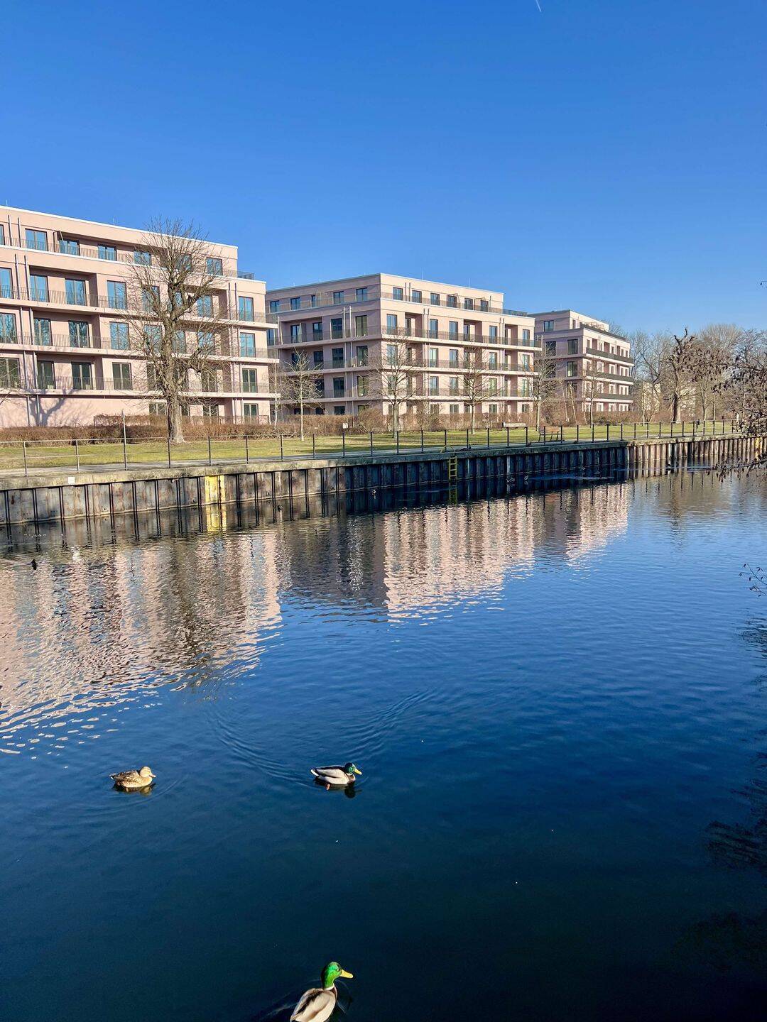 Thumbnail-3 Zimmer mit Balkon - HAVELUFER Quartier
