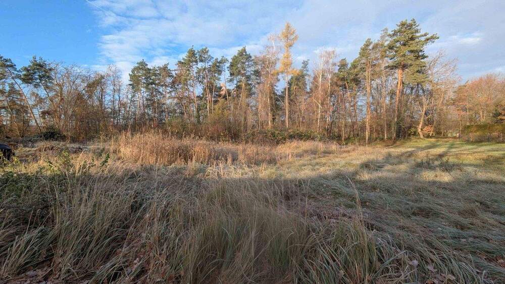 Thumbnail-EIN GUTER GRUND - BAUPLATZ in Eltersdorf.
