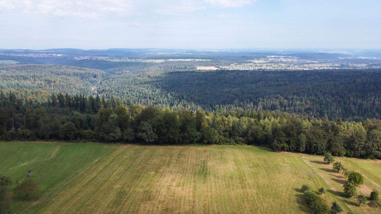 Thumbnail-Panorama-Weitblick für kleines Budget