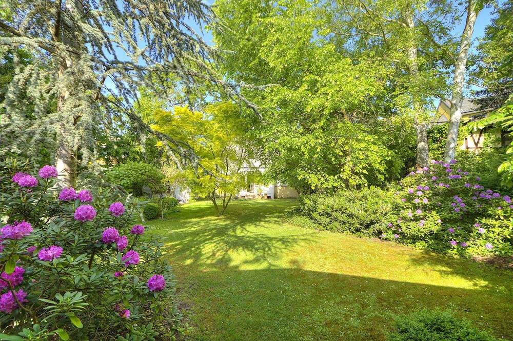 Blick in den Garten