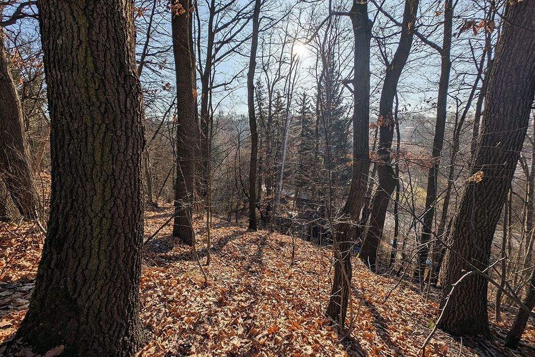 Thumbnail-Baugrundstück in attraktiver Lage von Zwickau