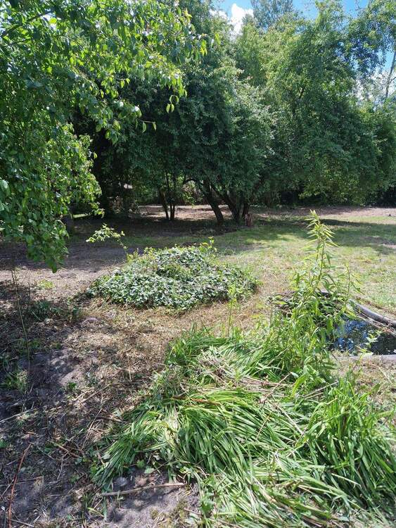 Thumbnail-Falkensee - großes Baugrundstück