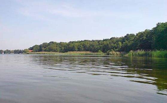 Thumbnail-Nähe Habermannsee Attraktives Einfamilienhaus mit großem Grundstück und Erweiterungspotenzial