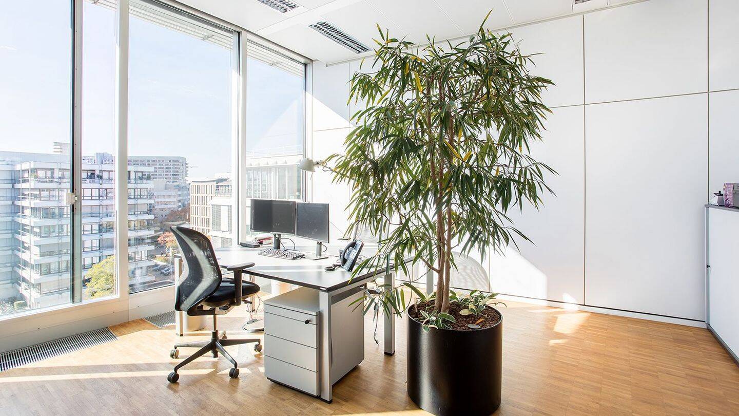 Thumbnail-Helles 46,2 m² Büro im Westend mit Alpenblick, Dachterrasse & Vollausstattung