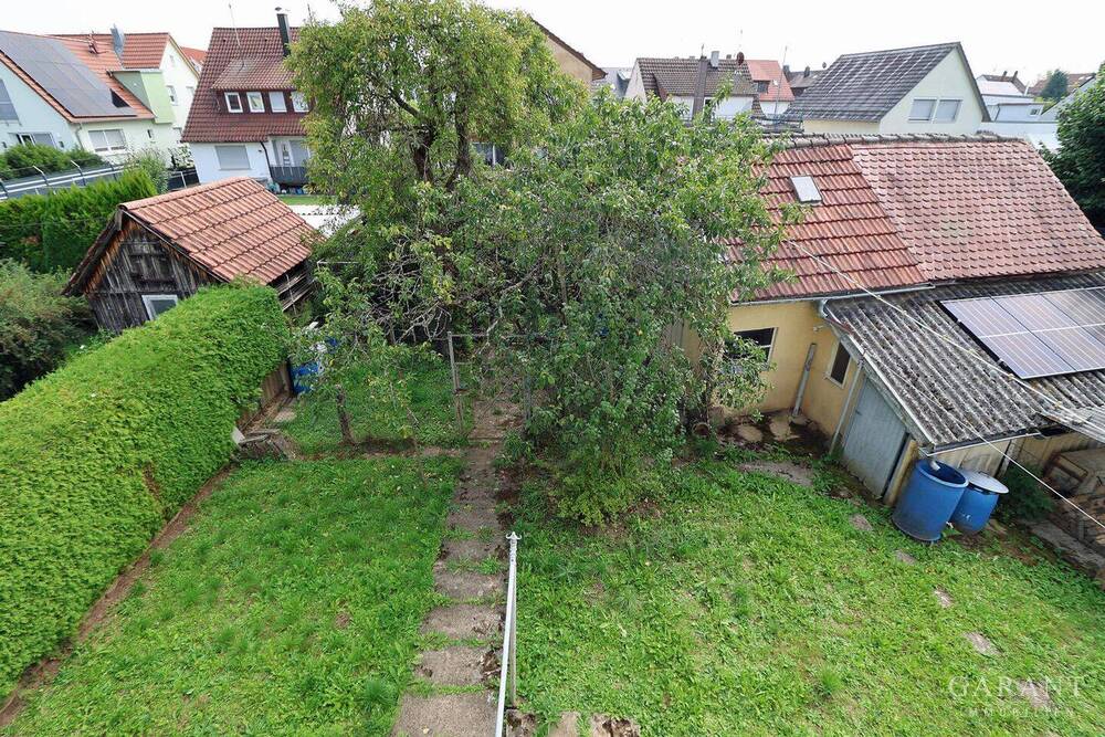 Blick in den Garten