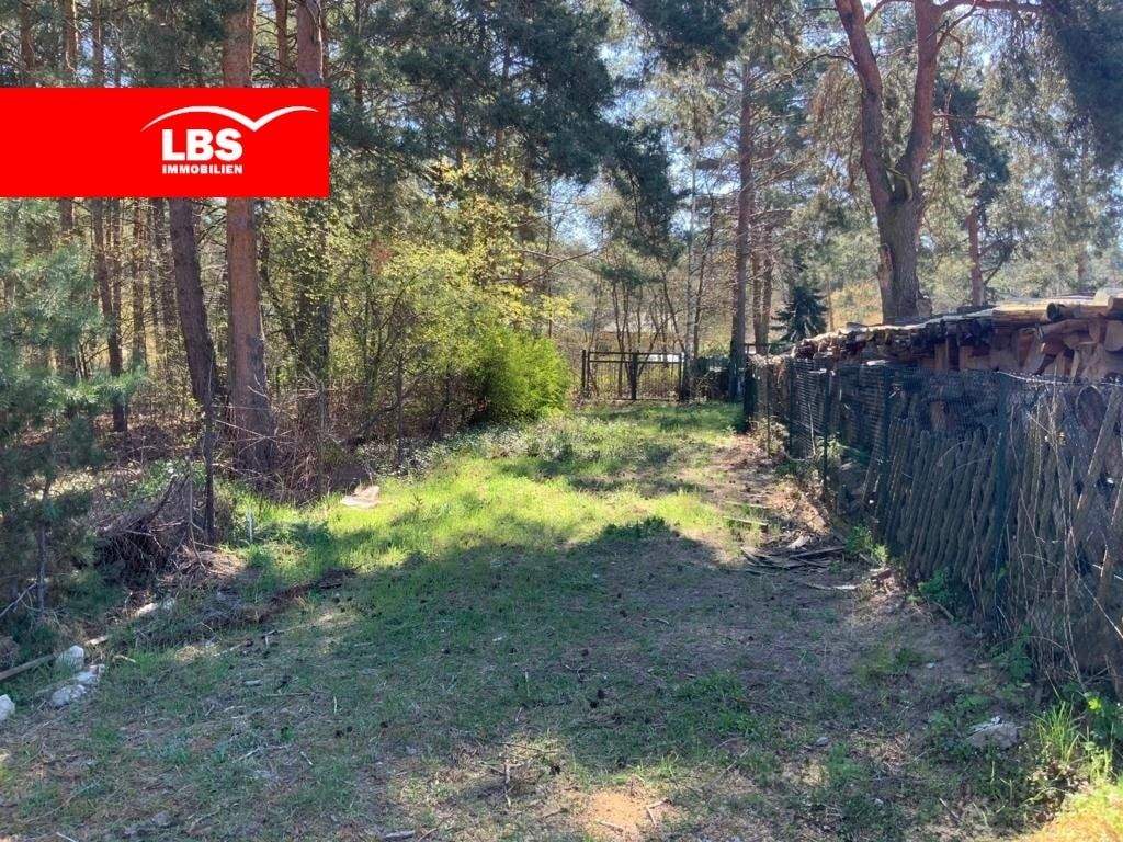 Thumbnail-Baugrundstück am Wald - nahe kleinem Müggelsee