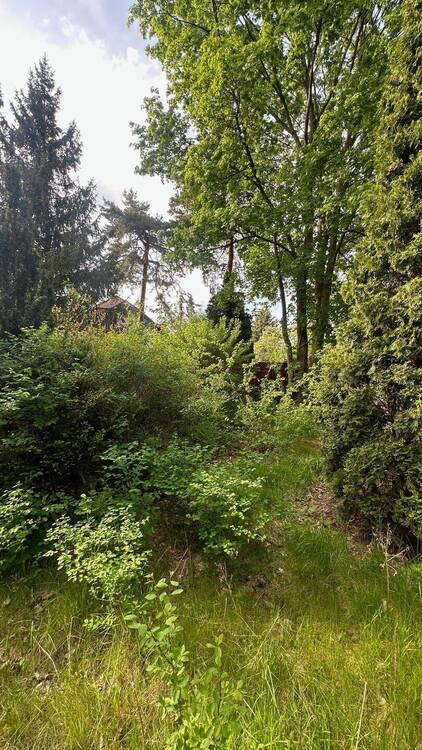 Thumbnail-WALDESRUH: Großzügiges Baugrundstück in begehrter, ruhiger Wohnlage