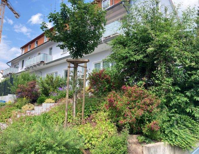 Thumbnail-9106705 | modernes Zweizimmerappartement in Geismar, EBK