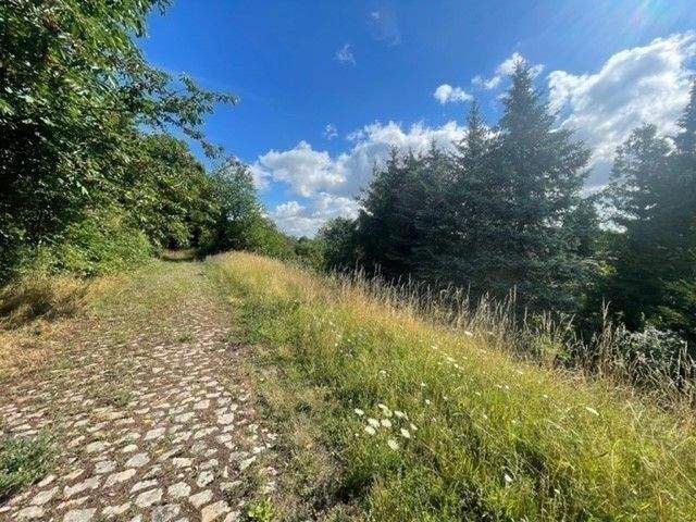 Thumbnail-+++ Großes Grundstück in Wethau +++