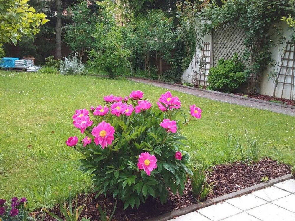 Thumbnail-Möblierte 2 Zimmer Wohnung mit Garten im Osten von München, S4 S6