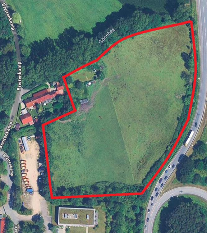 Thumbnail-Weidelandfäche im Ostseebad Scharbeutz