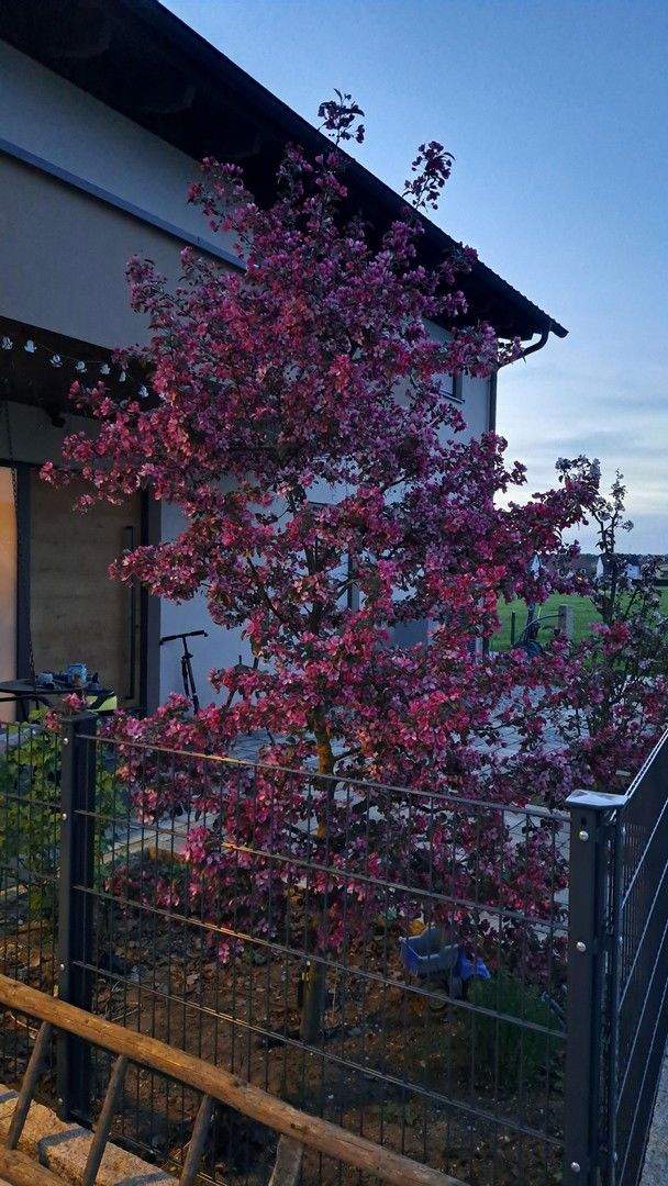 Thumbnail-Freistehendes Einfamilienhaus Ortsrandlage