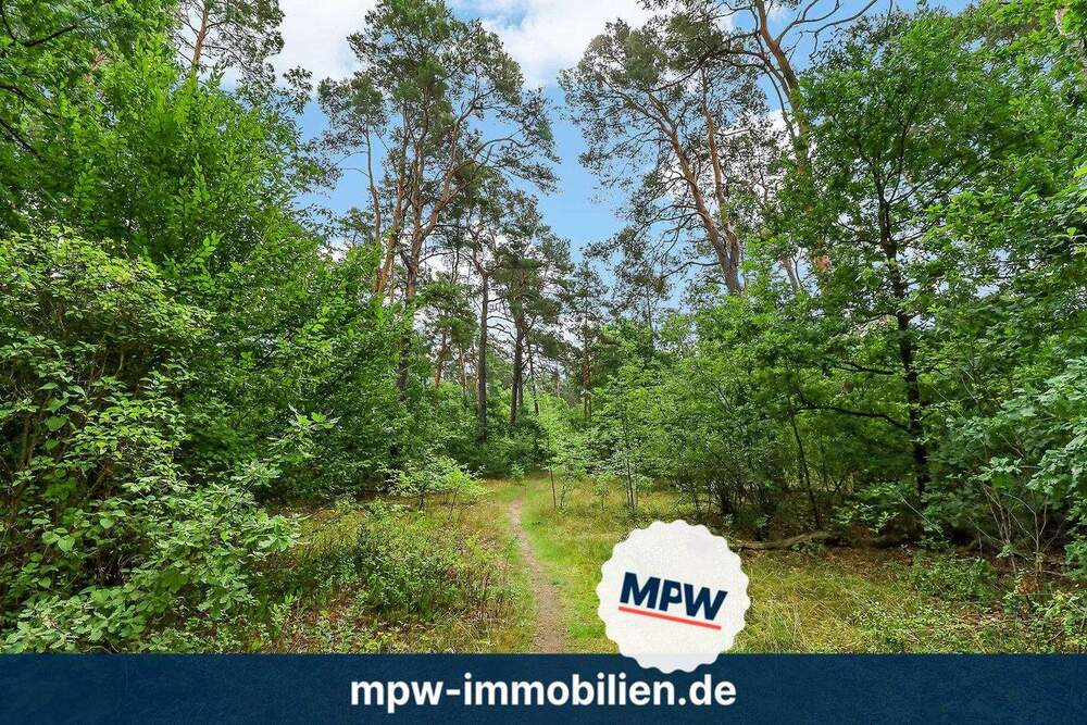 Thumbnail-Märchenwald sucht neue Helden - Prinzen, Feen & Abenteurer willkommen!