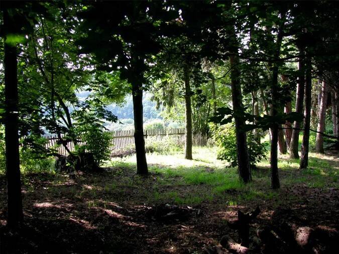 Thumbnail-865m² Grundstück am ruhigen Waldrand | Ideal für Einfamilienhaus oder Doppelhaus