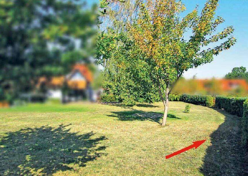 Thumbnail-Ein Stück Garten im Innenbereich von Goslar-Weddingen provisionsfrei kaufen