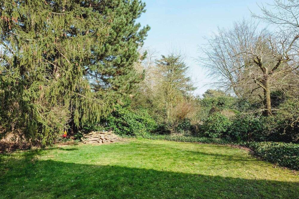 Thumbnail-Raum für Visionen: Großes Grundstück direkt am Rhein