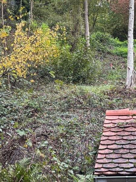 Thumbnail-Am Rand des Pfälzer Waldes - Rheinebene vor sich - Auf den Spuren von Max Slevogt - 1 B Lage