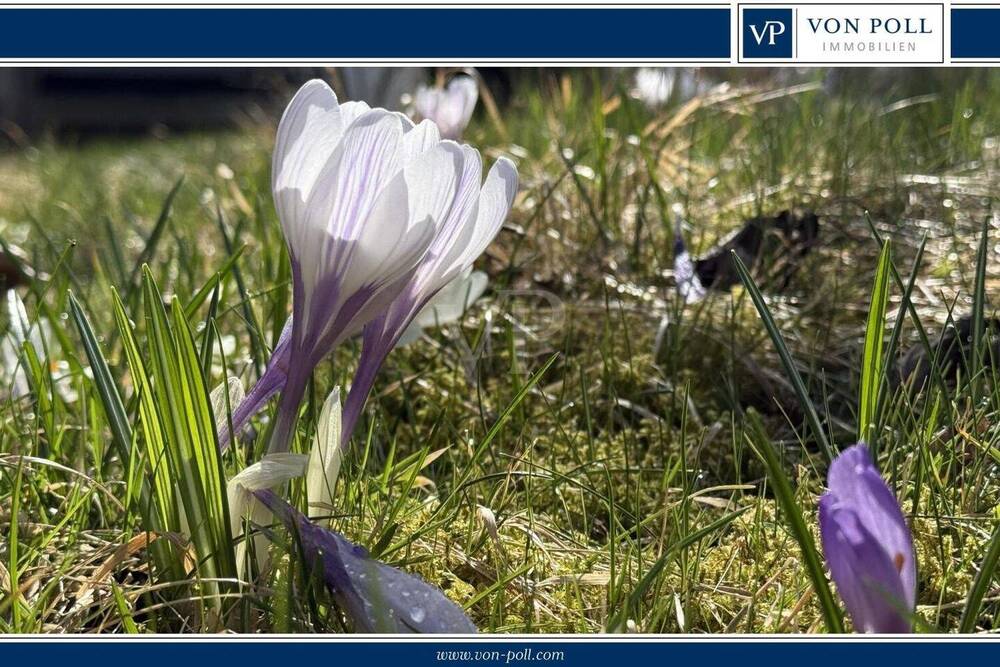 Thumbnail-Bester Grund zum Bauen: Schönes Grundstück wartet auf Sie und Ihre Ideen!