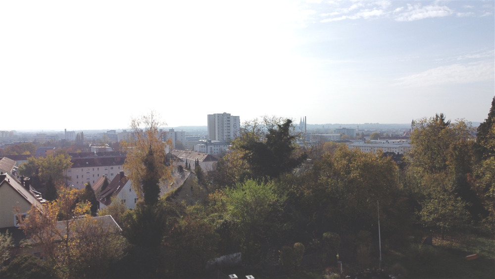 Blick über Regensburg