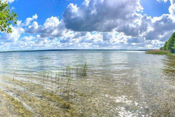 Thumbnail-NEUER PREIS! Umgeben von Wald und nur wenige Minuten zum See