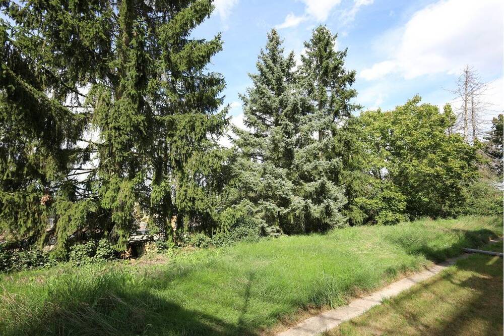 Thumbnail-Gepflegte Seniorenfreundliche 2-Zimmer-Wohnung - ruhig zum Garten, zentral in Lübars