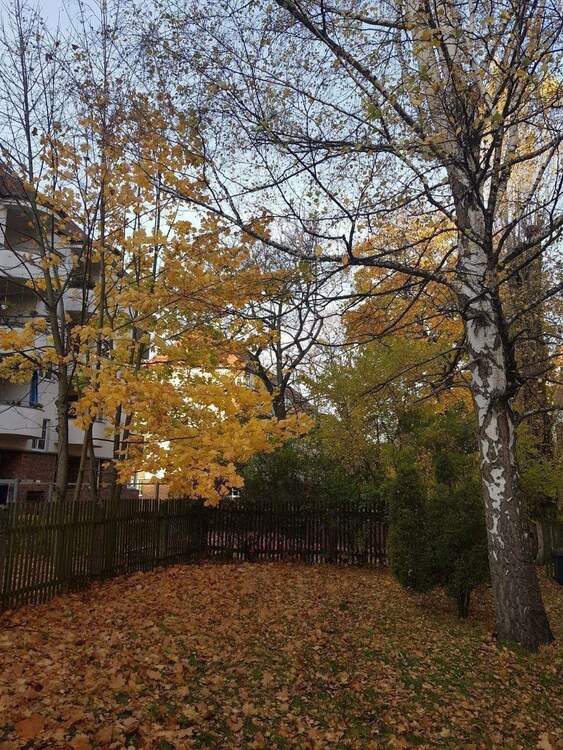 Thumbnail-SANIERT + ZENTRAL + TOP LAGE + SCHÖNER GARTEN + BLICK INS GRÜNE + 3 ZIMMER WOHNUNG