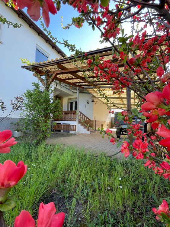 Thumbnail-Lebens(t)raum in Speyer – Stilvoll wohnen am Rande der Altstadtidylle