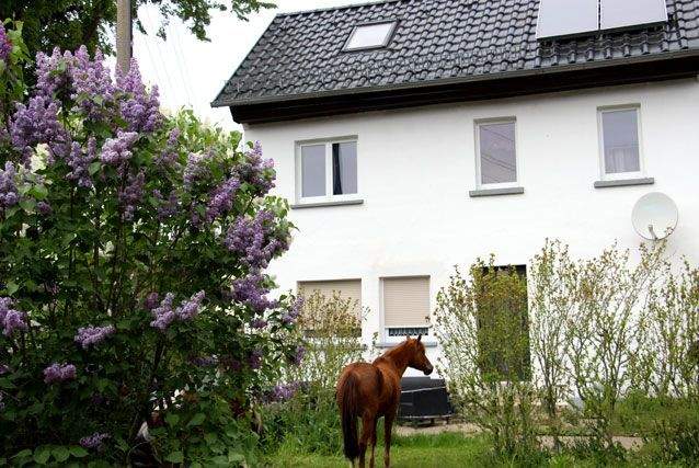 Thumbnail-Anschauen * Einziehen * Wohlfühlen