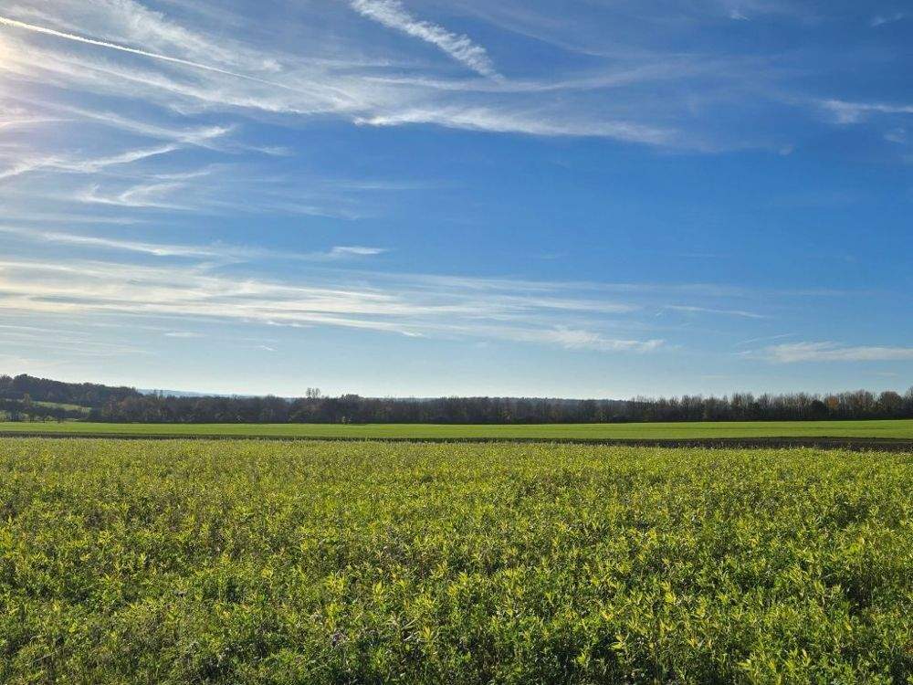 Thumbnail-Trier-Biewer - Grundstück mit enorm viel Potenzial ! Machen Sie Ihr Geschäft !!!