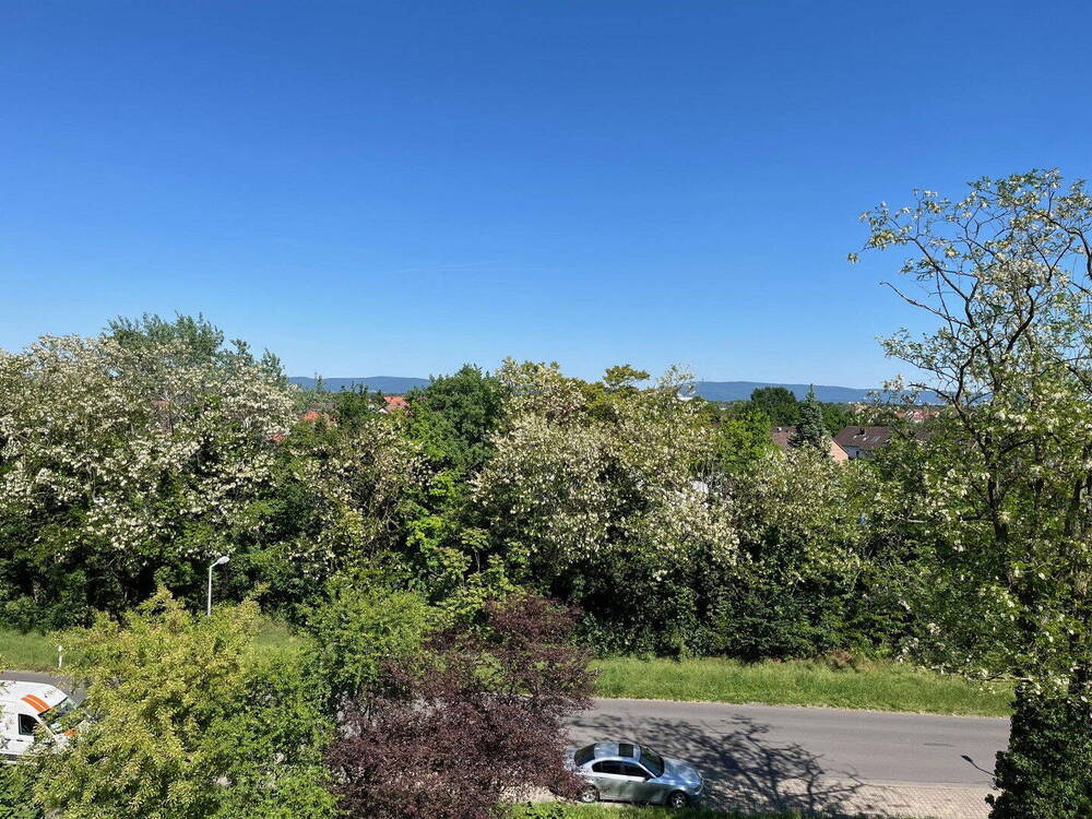 Thumbnail-HEUTE VERKAUFT ! 