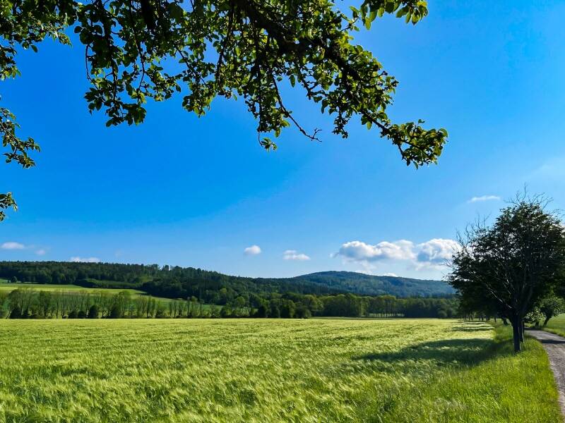 Thumbnail-Drei Baukörper auf 100.000 m² Wald und Wiese - ein Paradies für Sie und Ihre Tiere!