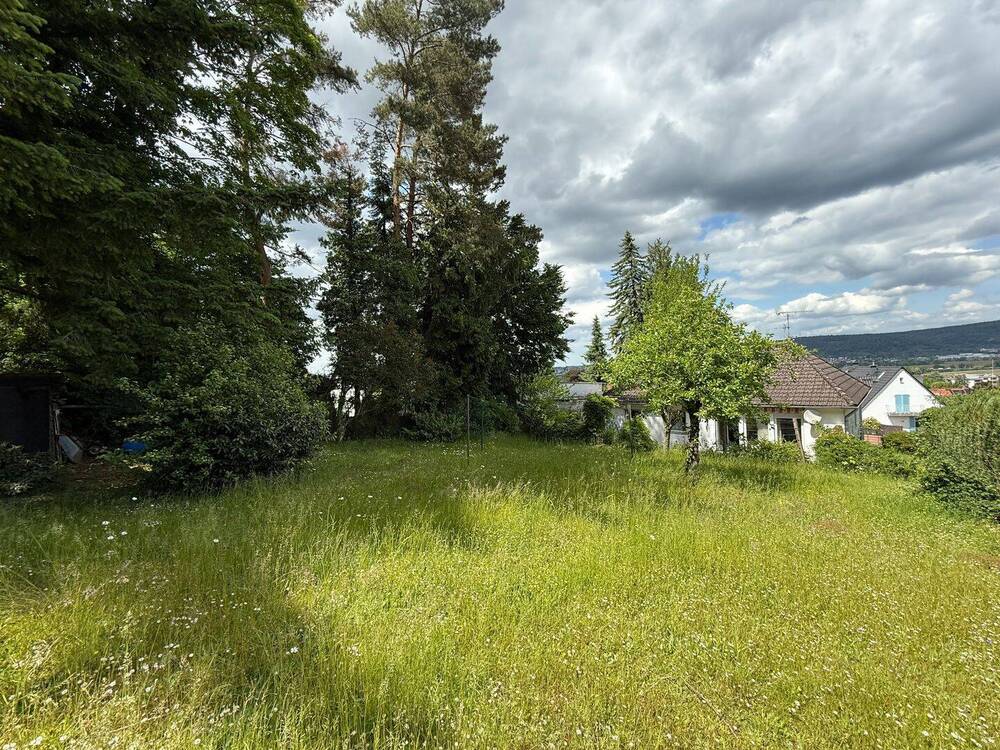 Thumbnail-**Traumgrundstück in Waldrandlage (Abriss erforderlich)**