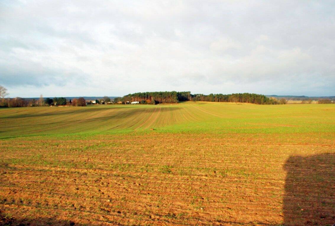 Thumbnail-Fruchtfolge im Eigenanbau - Ackerfläche auf Usedom