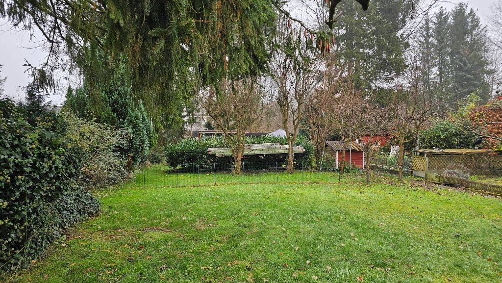 20241214_125256 (1024x577).jpg